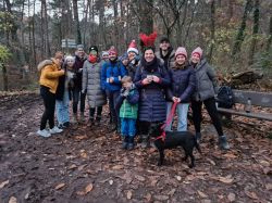 Wandern 2